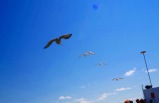 2-Day Bus Tour to Lake George and Lake Placid
